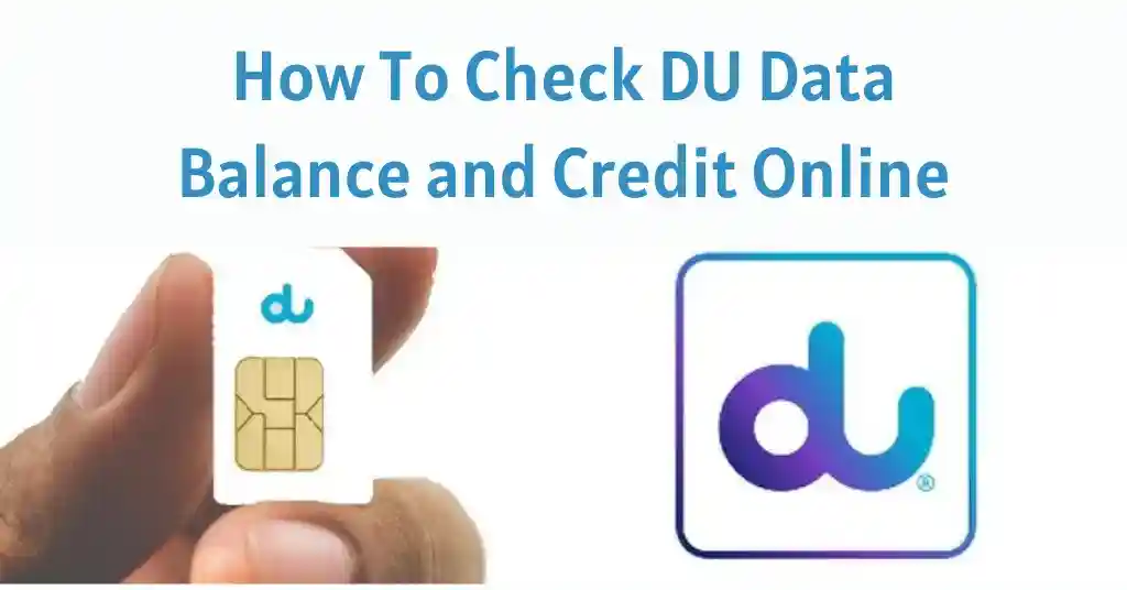 Check Du Data Balance and Credit